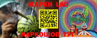 стафф Пенза