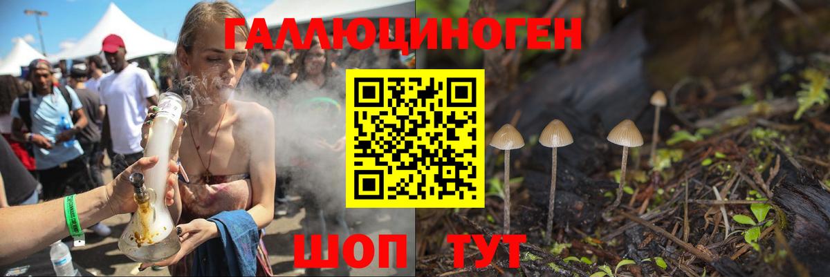 Чита  Псилоцибиновые грибы GOLDEN TEACHER  Галлюциногенные грибы мицелий  Вход с VPN 
